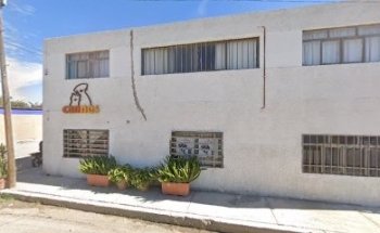 Clinica Veterinaria CANNES