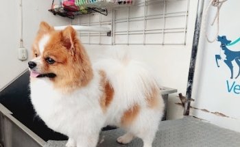 Veterinaria y Estetica D' Pelos