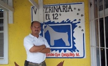 Veterinaria “El 12”