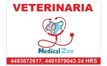 Veterinaria Medical zoo