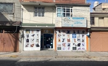 VETERINARY CLINIC D 'León