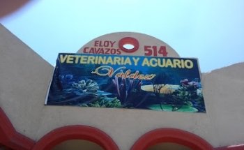 Clínica Veterinaria Valdez