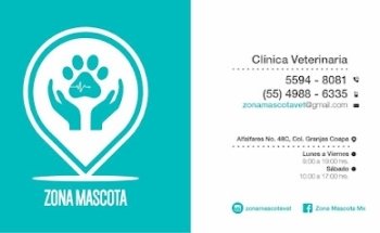 Zona Mascota