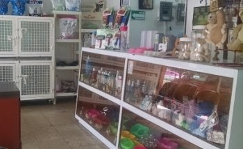 Clinica Veterinaria Dogs and Cats