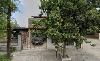 the dogs veterinaria