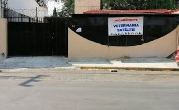 Veterinaria Satélite