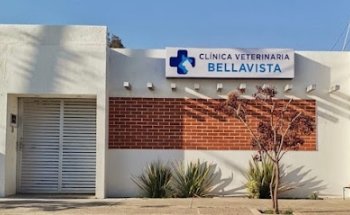 Clínica Veterinaria Bellavista