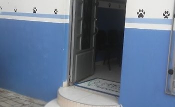 CLINICA VETERIMARIA PET IN