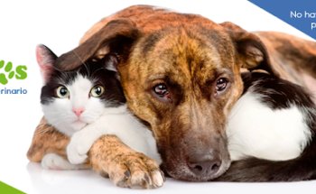 Veterinaria Pequeños Amigos