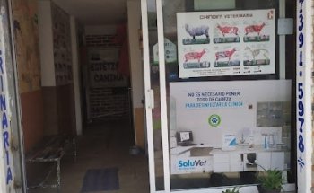 Consultorio Veterinario 