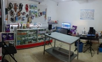 Dog-tor Calixto Veterinario