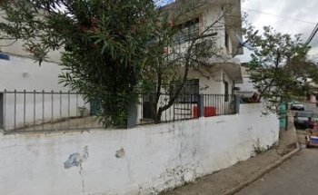 Estética veterinaria wolf pet