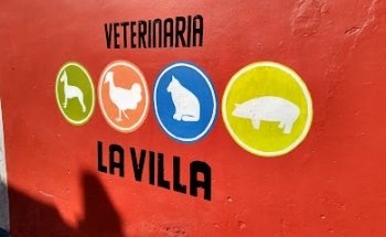 Veterinaria 