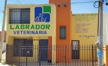 Clinica Veterinaria Labrador