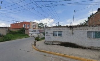 Barber dog Estetica canina