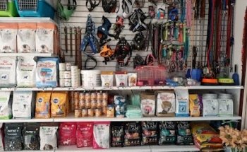 Clínica Veterinaria SpaPerros