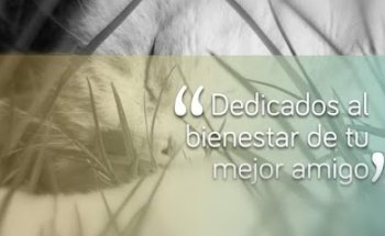 Veterinaria Peek`& Miis