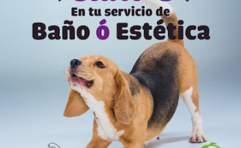 Pets & Health Veterinaria & Spa
