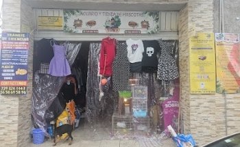 Acuario y Tienda de mascotas 