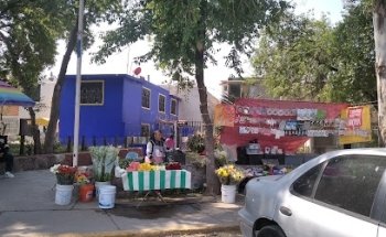 Todo un mundo para tus mascotas