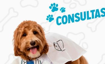 veterinary practice RGclinique