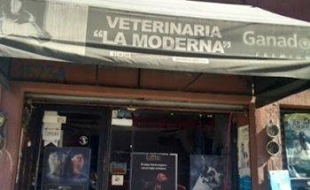 VETERINARIA LA MODERNA
