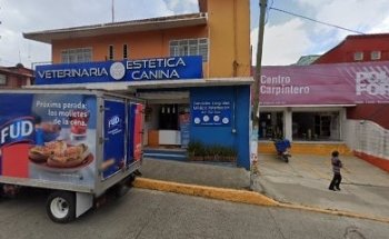 Consultorio Veterninario Y Estética Canina