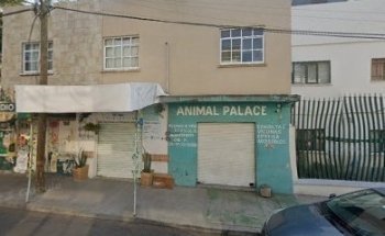 Animal palace
