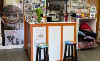 VETERINARIA EN COYOACAN EL SEÑOR Y LA SEÑORA XOLOTL COYOACAN