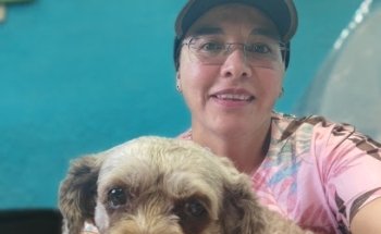 Centro Veterinario Holistico