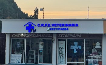 Centro de Rehabilitación de Pequeñas Especies