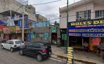 Veterinaria ZOOMEDICA