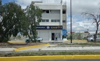 CENTRO VETERINARIO CASOT