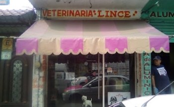 Veterinaria Lince