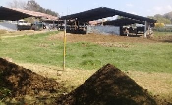 Veterinary Posta UMSNH