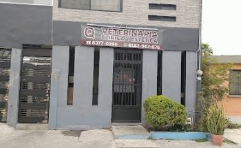 Q VETERINARIA CLÍNICA Y ESTÉTICA