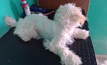 Veterinaria Hernández