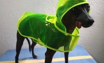 VETERINARIA Dr Pets ALTAMIRANO