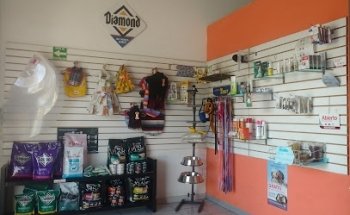 Veterinaria Del Real