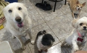 Aguilar Veterinary Clinic