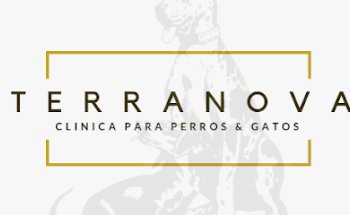 Veterinaria Terranova