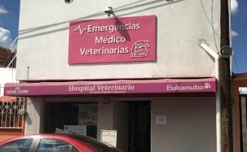 Emergencias Médico Veterinarias