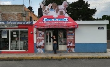 Hospital Veterinario Spa K - Nes