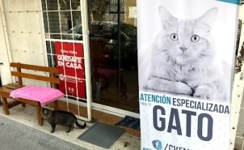 CVF Centro Veterinario Felino