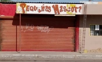 Veterinaria Pequeñas Mascotas