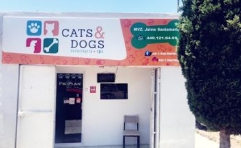 Cats & Dogs veterinaria spa
