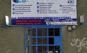 Clinica Veterinaria Lillos