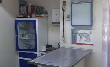 Clinica Veterinaria koalas