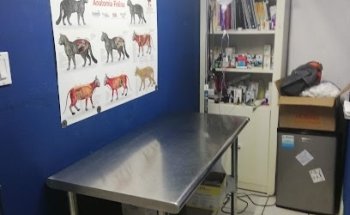 Clinica Veterinaria Beethoven