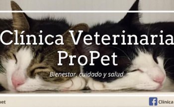 Clínica Veterinaria ProPet